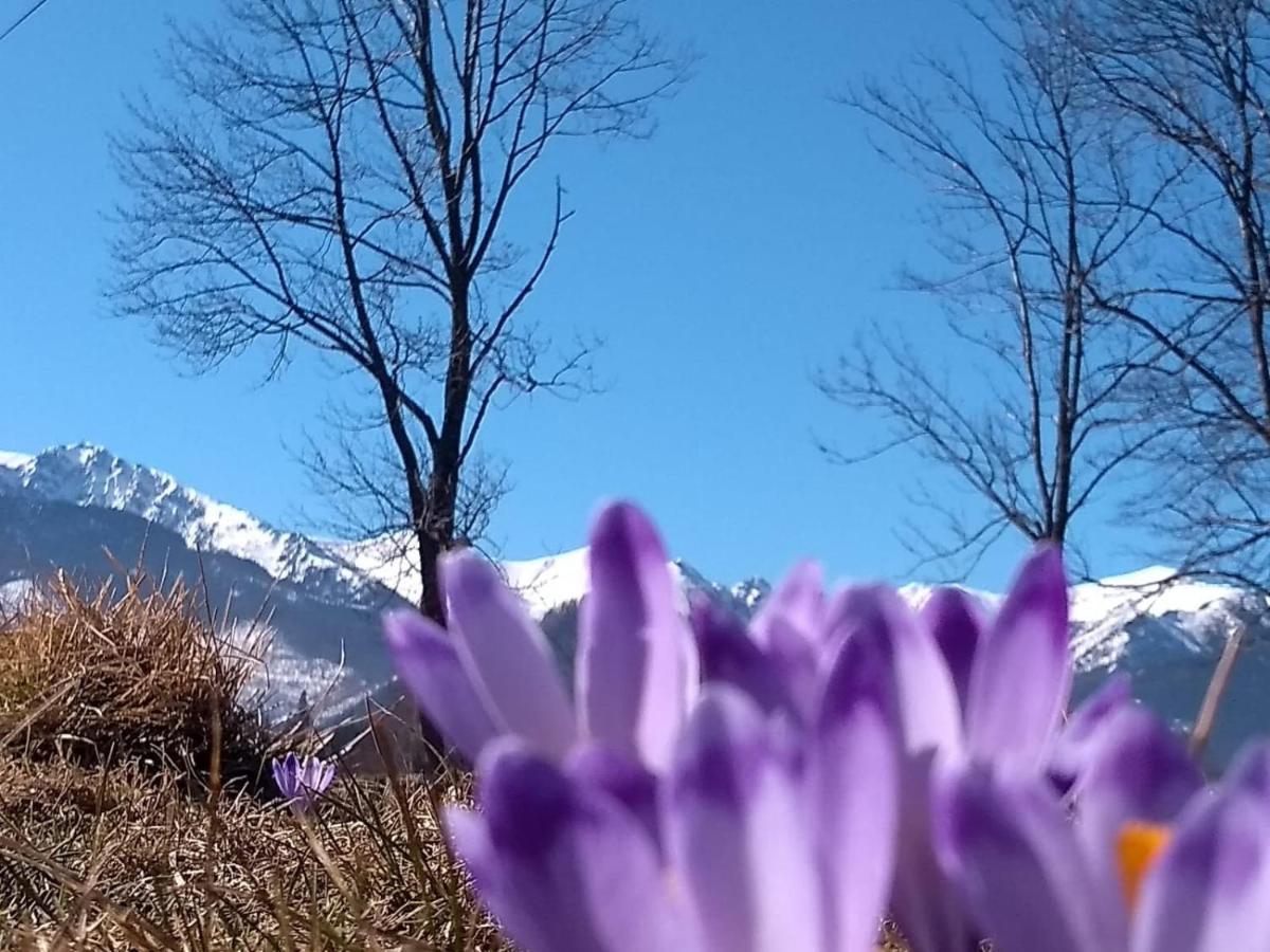 Apartament Akuratny Zakopane Kültér fotó